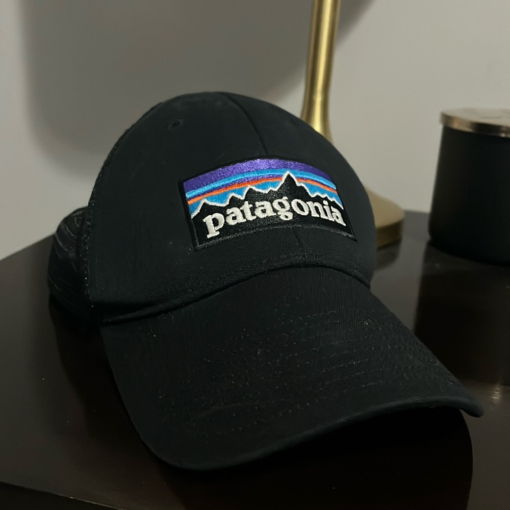 Patagonia trucker hat